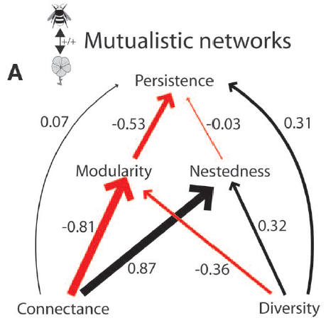 path_analysis